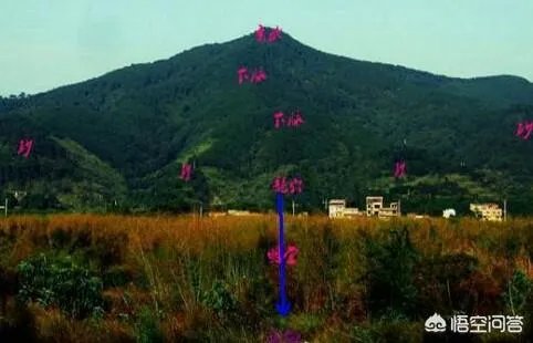 清华大学发现古墓你怎么看?