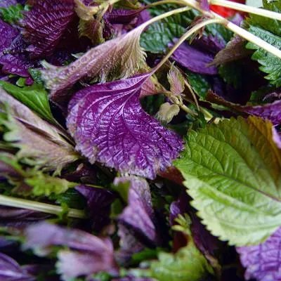 睫毛膏怎么卸?专门眼部卸妆产品