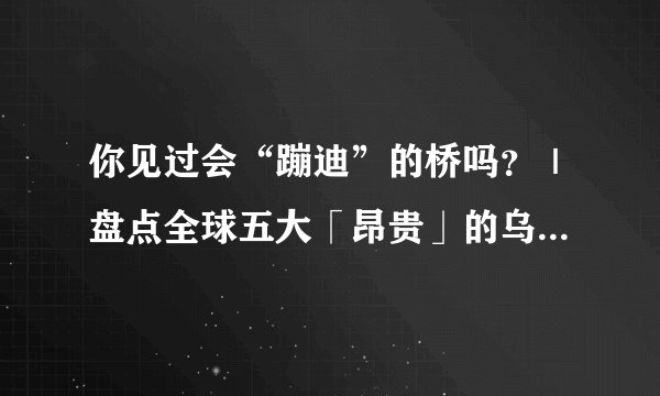 你见过会“蹦迪”的桥吗?|盘点全球五大「昂贵」的乌龙建筑设计