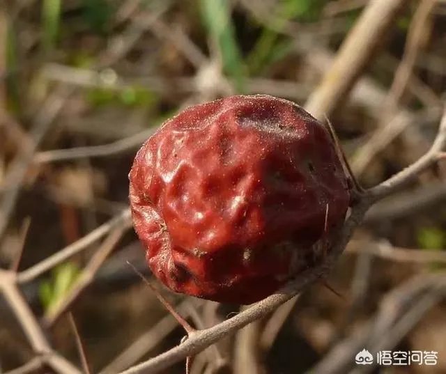 高级拍摄说法