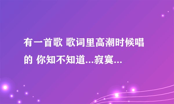 有一首歌 歌词里高潮时候唱的 你知不知道...寂寞的歌 ，，，歌名叫啥