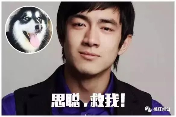 林更新现在为什么那么火?
