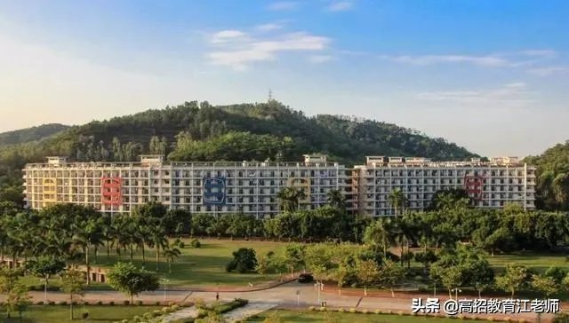 中山大学哪个专业好?