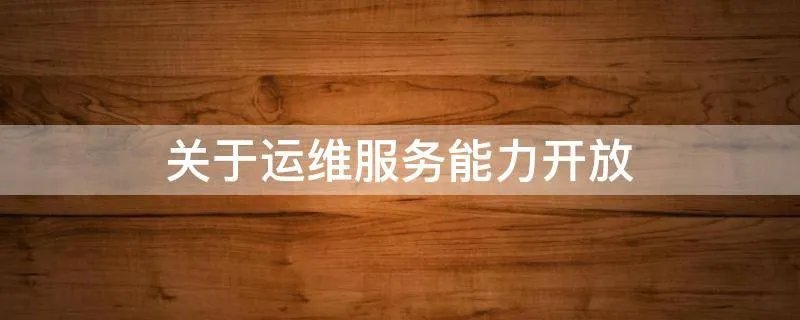 关于运维服务能力开放