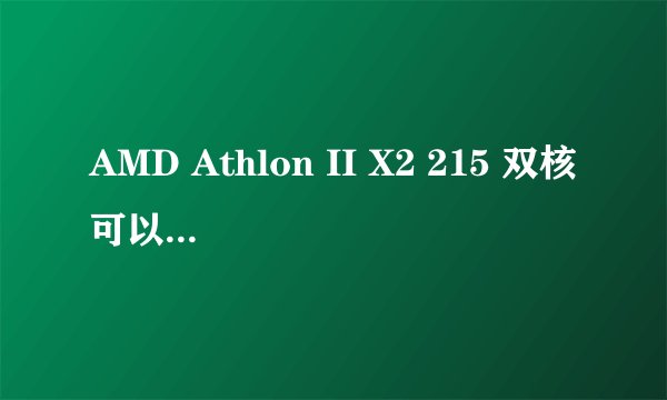AMD Athlon II X2 215 双核可以用什么样的内存