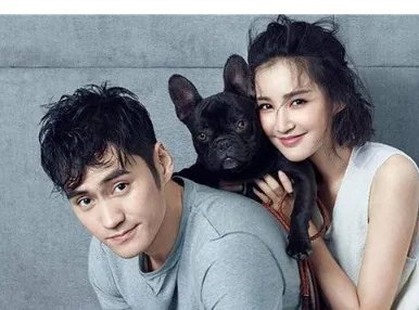 袁弘为张歆他俩有孩子了吗?