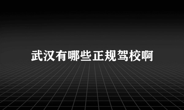武汉有哪些正规驾校啊
