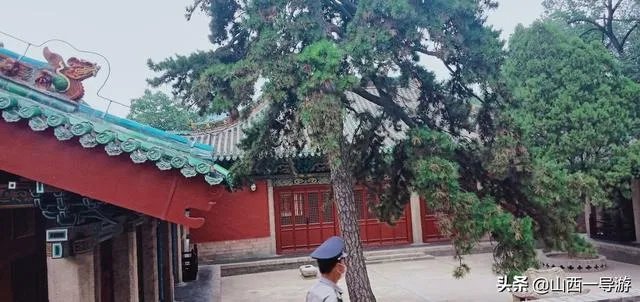 今年51岁了,想考导游证能行吗?