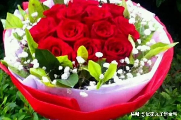 情人节送多少朵玫瑰?