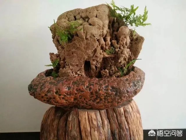 怎么样才能成为头条上的扶贫达人成员?