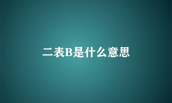 二表B是什么意思