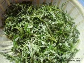 蒿子粑粑
