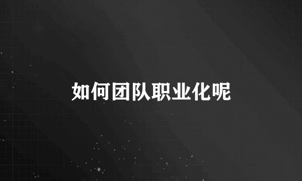 如何团队职业化呢