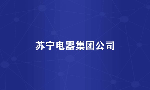 苏宁电器集团公司