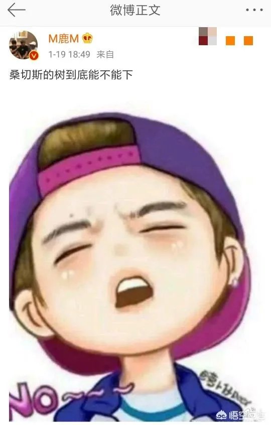 鹿晗下树为曼联这条微博带来5000回复，什么水平？