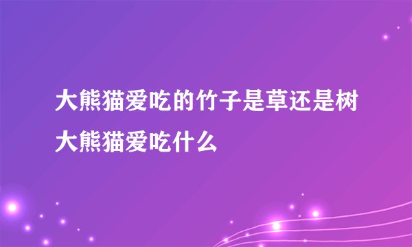 大熊猫爱吃的竹子是草还是树大熊猫爱吃什么