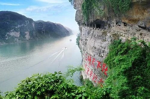 三峡坝区现神秘动物,真的像新闻所说的仅仅是围油栏吗?