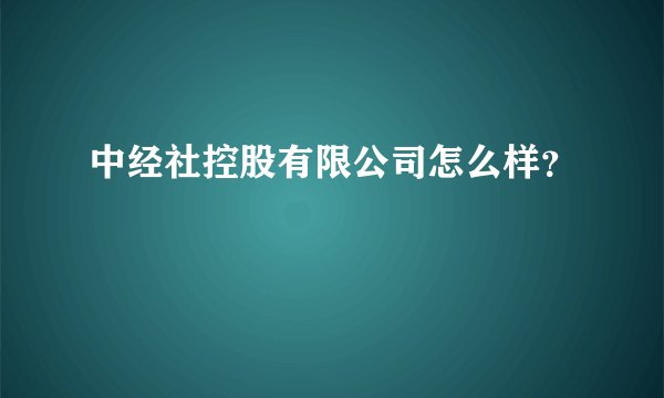 中经社控股有限公司怎么样？