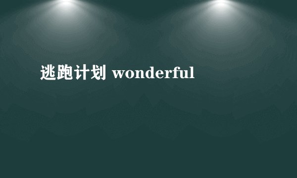 逃跑计划 wonderful