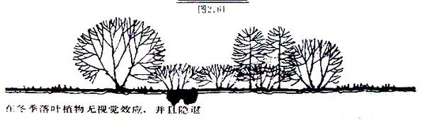 干货 | 庭院植物打造,营造十足空间感