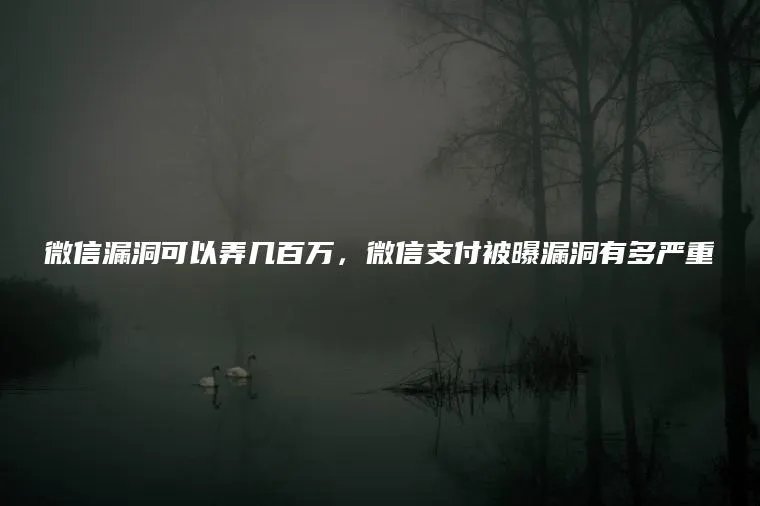 微信漏洞可以弄几百万，微信支付被曝漏洞有多严重