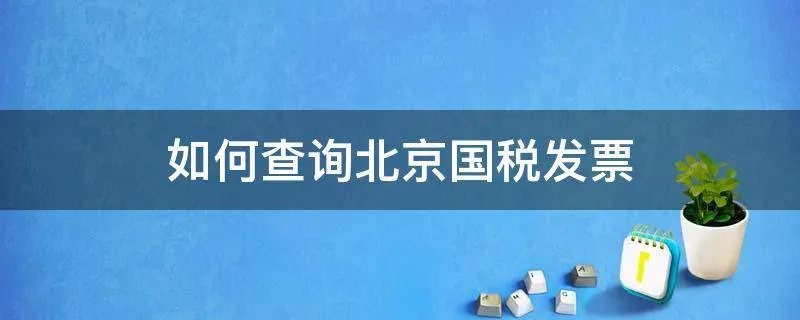 如何查询北京国税发票