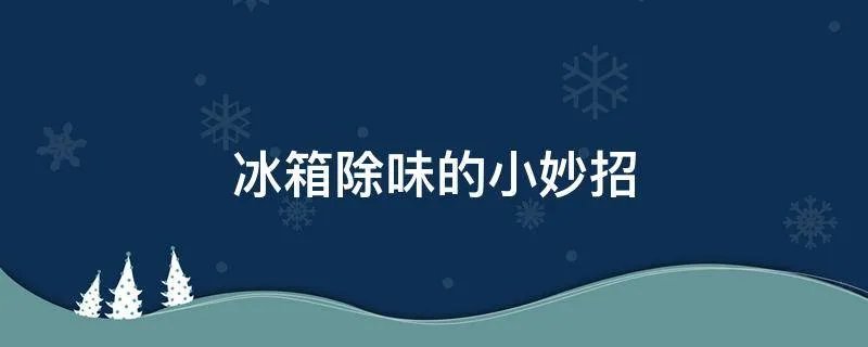 冰箱除味的小妙招