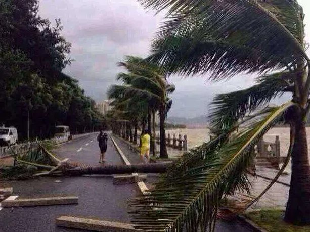 珠海又有台风红色预警吗?