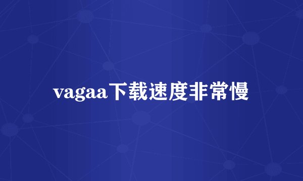 vagaa下载速度非常慢