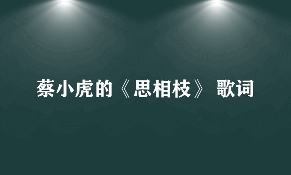 蔡小虎的《思相枝》 歌词