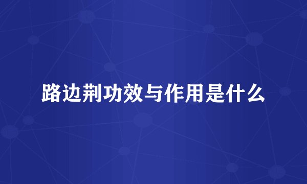 路边荆功效与作用是什么