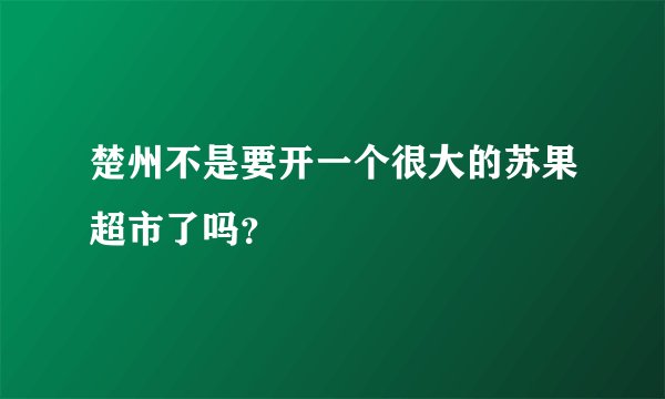 楚州不是要开一个很大的苏果超市了吗？