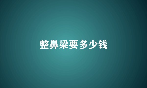 整鼻梁要多少钱