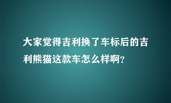 大家觉得吉利换了车标后的吉利熊猫这款车怎么样啊？