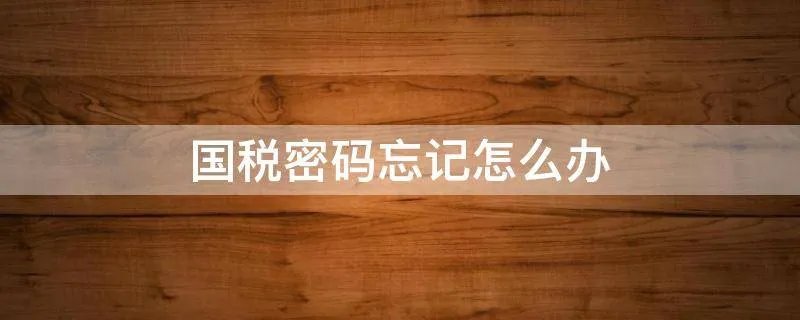 国税密码忘记怎么办
