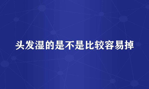 头发湿的是不是比较容易掉