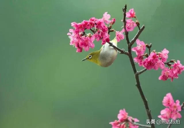 去广州旅游,有什么好去处值得推荐?