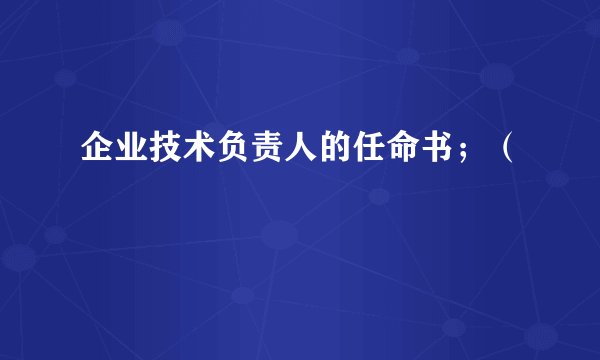 企业技术负责人的任命书;(
