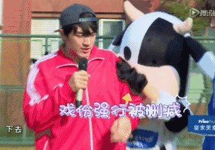 林更新现在为什么那么火?