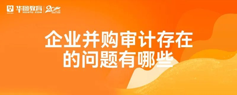 企业并购审计存在的问题有哪些