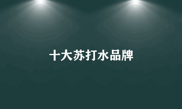 十大苏打水品牌