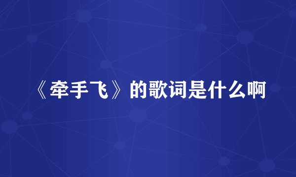 《牵手飞》的歌词是什么啊