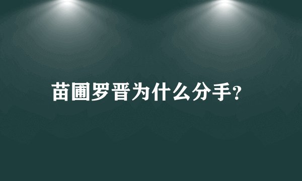 苗圃罗晋为什么分手？