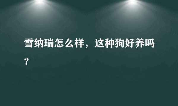雪纳瑞怎么样，这种狗好养吗？
