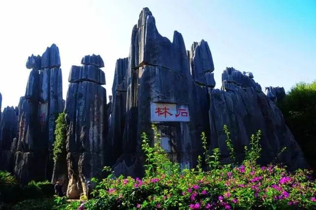 昆明在美留学生公开演讲:美国空气又香又甜!家乡空气差,昆明为自己正名!