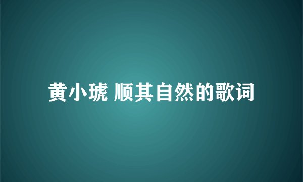 黄小琥 顺其自然的歌词