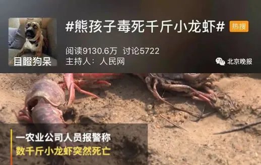 熊孩子毒死小龙虾怎么回事：原因详情始末令人心疼