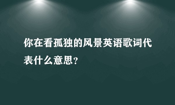 你在看孤独的风景英语歌词代表什么意思？