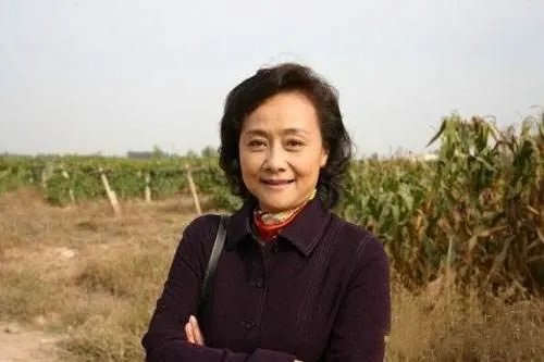 你怎么看金鑫和黄梅莹之间的感情？