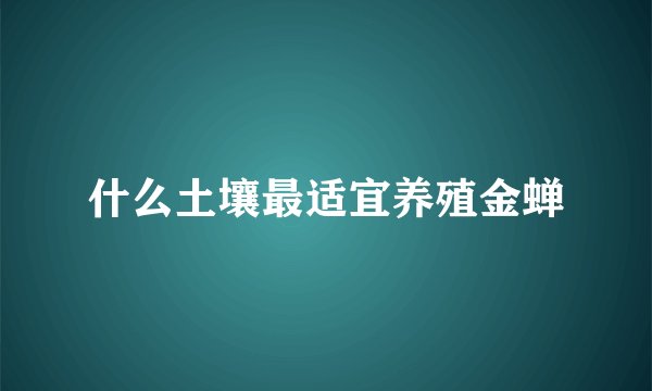 什么土壤最适宜养殖金蝉